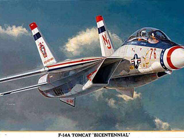 F-18 Tomcat s 3-polohovými křídly