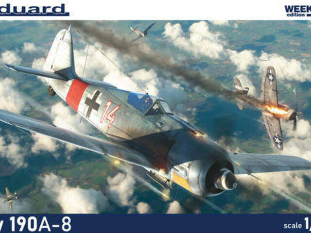 Fw 190A-8 a další