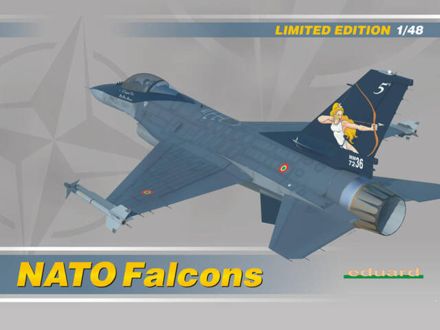 Nato Falcons Eduard