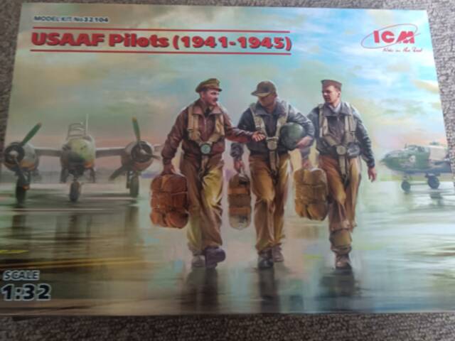 USAAF PILOTS