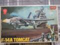 Grumman F-14A Tomcat