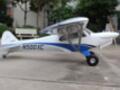 Hangar 9  XCub 2.9 60 cc