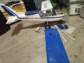Beagle airdale