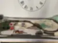 Kolejiště N