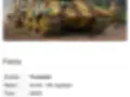 German Sd.Kfz.186 Jagdtiger 1:16