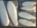 Laminátové kryty kol / botičky