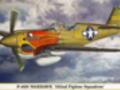 Koupím P 40 Hasegawa 1/48