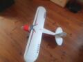PACER 1150 mm RR ARF Multiplex