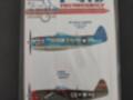 P-47D Thunderbolt