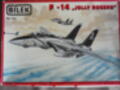 F-14 _1/72