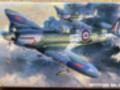 Hasegawa  1/48  Spitfire Mk.IXc + doplňky