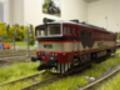 KDS Brejlovec MTB - DCC