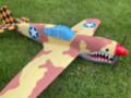 P40 Warhawk - EPP kombat