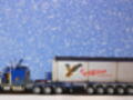 Peterbilt - Wilson transport 1/25