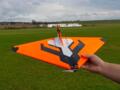 Plektrum