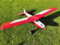 RC model