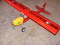 RC model