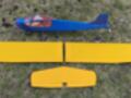 Rudder Bug