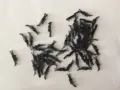 Sprahla