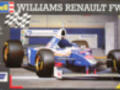 Williams FW 19, 14