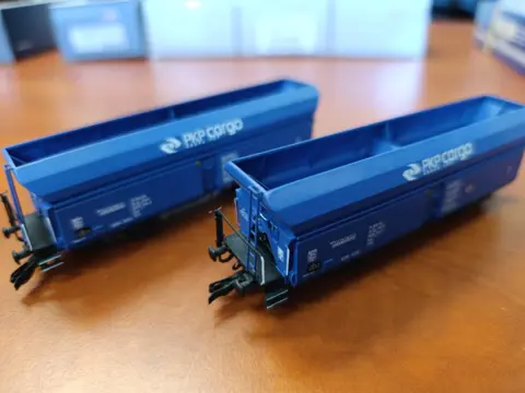 SDV model Wapky PKP
